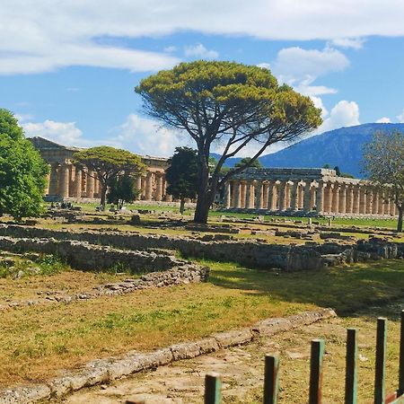 Il Giardino Di Athena 1 Apartment Paestum Bagian luar foto