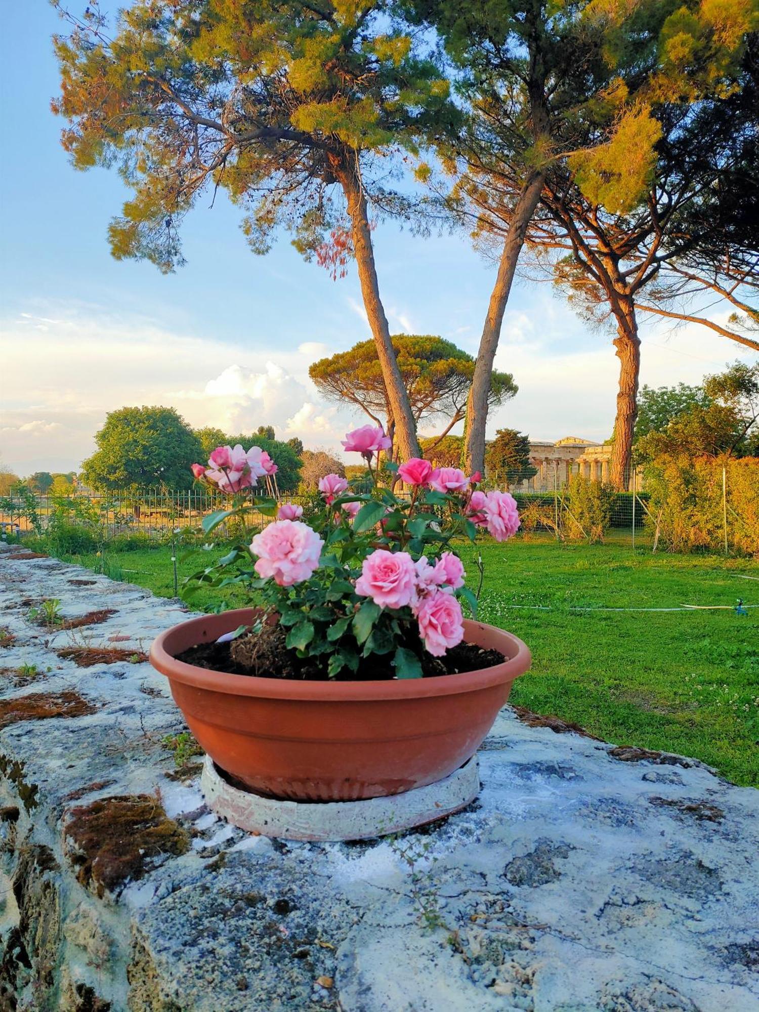 Il Giardino Di Athena 1 Apartment Paestum Bagian luar foto